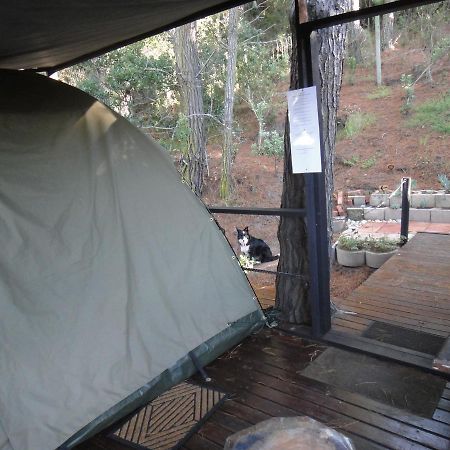 Eagles' Call Cottages And Tent Wildernis Extérieur photo