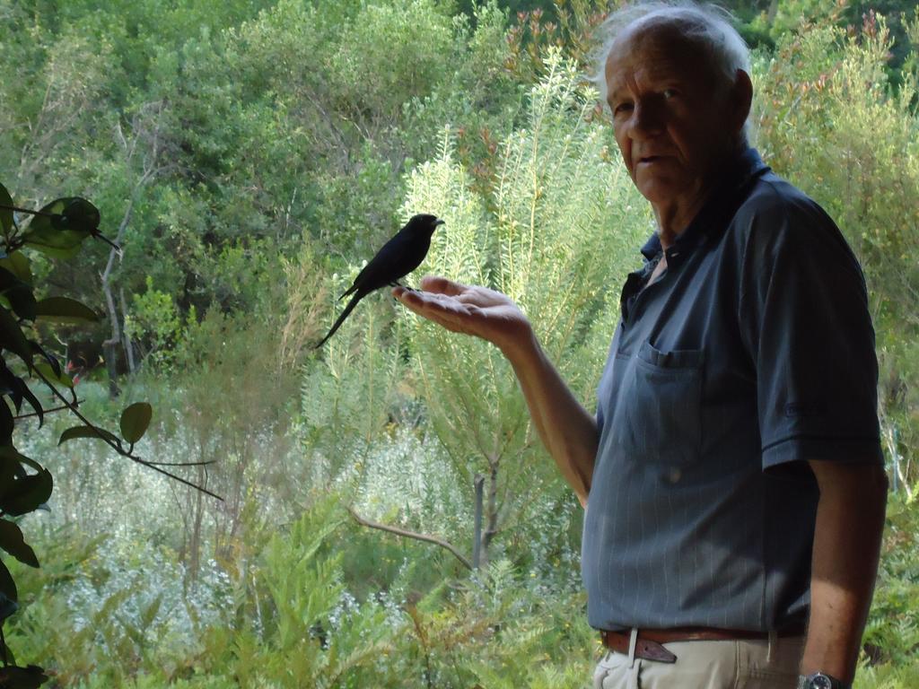 Eagles' Call Cottages And Tent Wildernis Extérieur photo