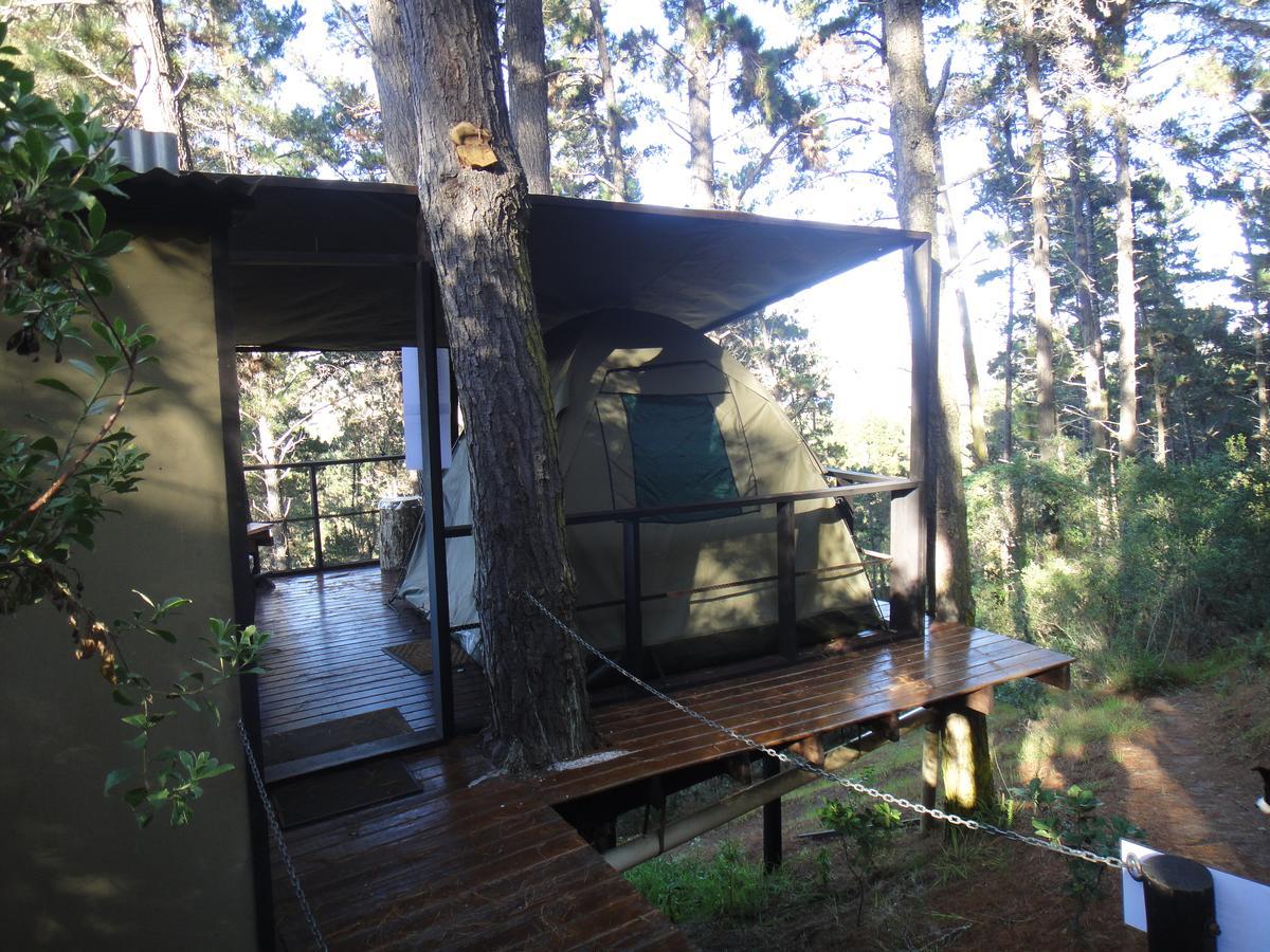 Eagles' Call Cottages And Tent Wildernis Extérieur photo
