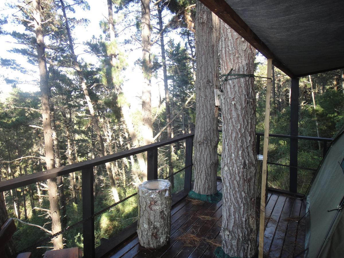 Eagles' Call Cottages And Tent Wildernis Extérieur photo