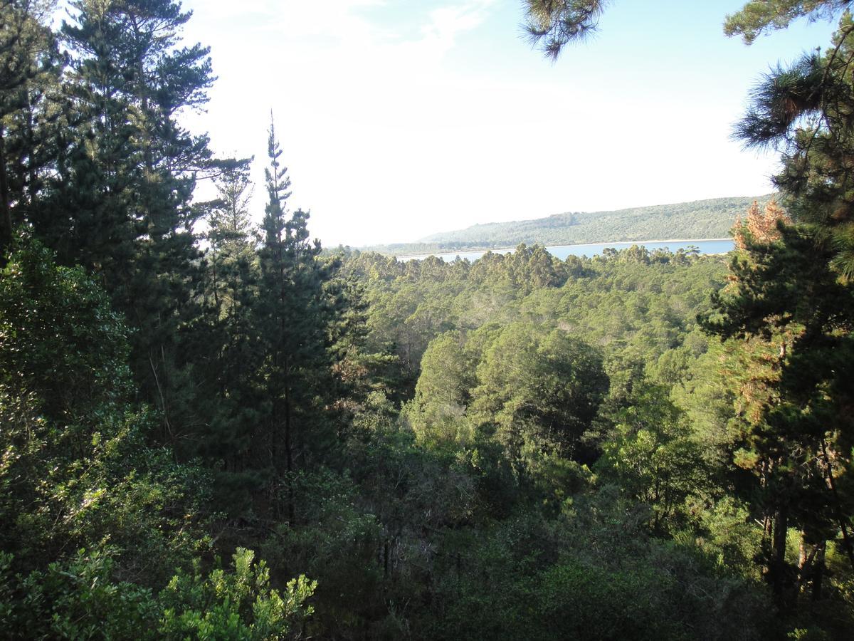 Eagles' Call Cottages And Tent Wildernis Extérieur photo